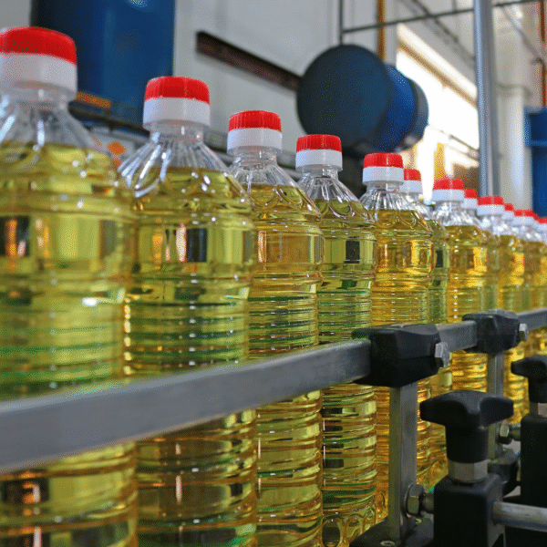Sunflower oil 2 Sunflower Oil