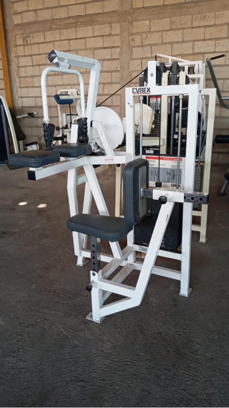 Used Cybex Classic Leg Curl