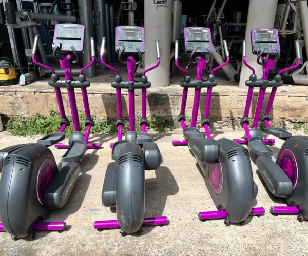 A038271A-D686-4A4C-8729-683F0B7646A7.jpg Used Life Fitness Integrity