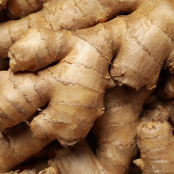 Ginger (1) Ginger