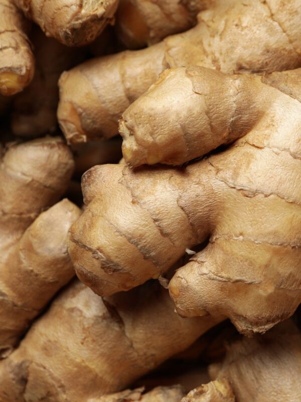 Ginger (2) Ginger