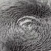 Iron Powder