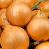 Onion