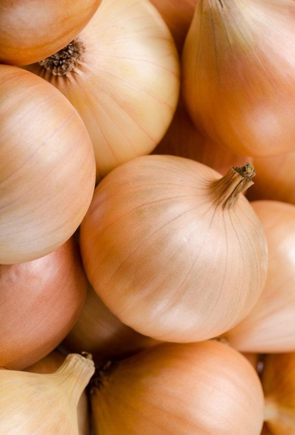 Onion (2) Onion