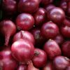 Onion