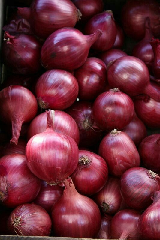 Onion (3) Onion
