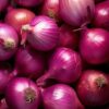 Onion