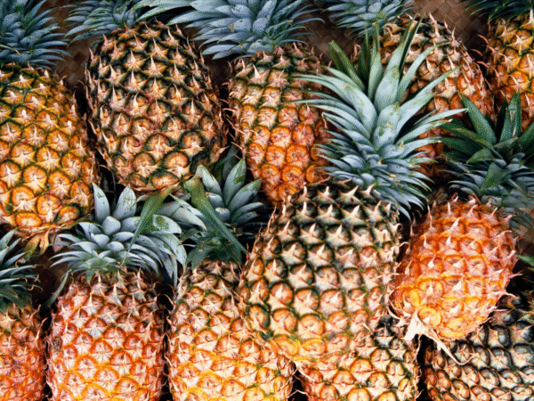 Pineapples