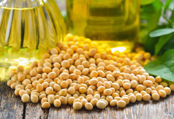 Refined Soybean Oil