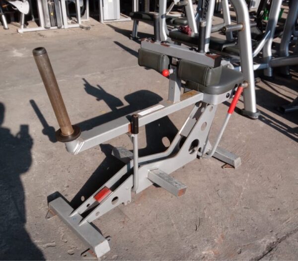 Star-Trac-Calf-Raise.jpg Star Trac Calf Raise
