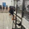 Outboard Motors