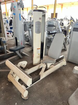 Used Freemotion Epic Calf Extension