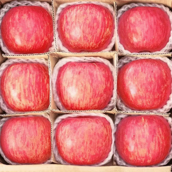 apples 1 Fresh Apples