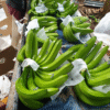 Fresh Bananas