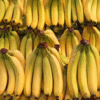 Fresh Bananas