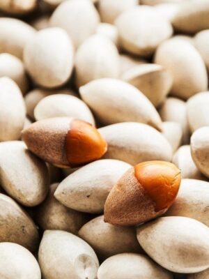 Ginkgo Nuts