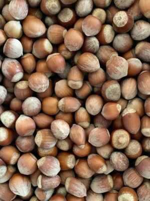 Hazel Nuts