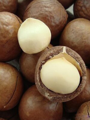 Macadamia Nuts