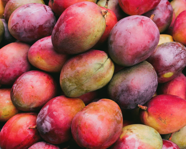mango2 Mangoes