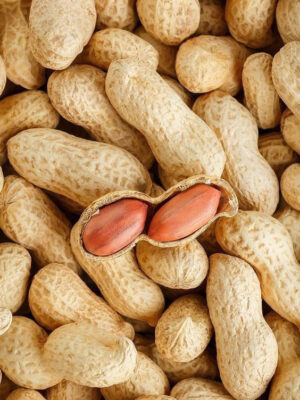 Peanut