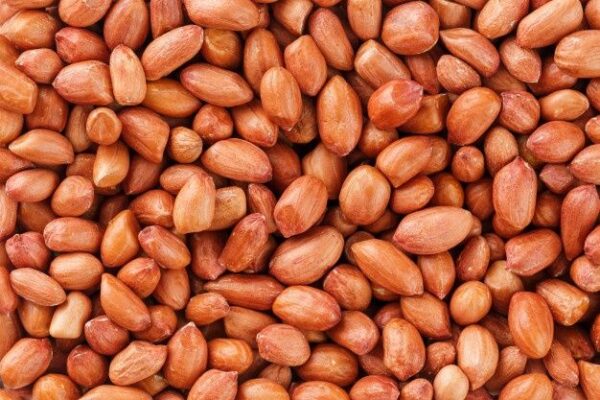 peanut (2) Peanut
