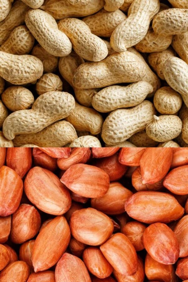 peanut (3) Peanut