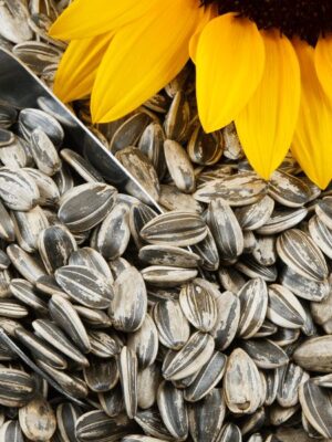 Sunflower Seeds