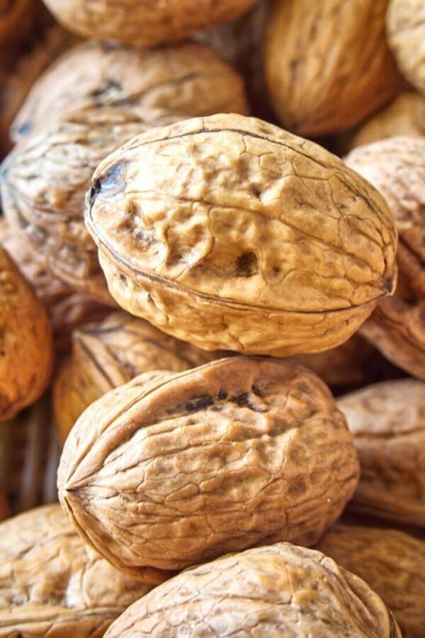 walnuts (5) Walnuts