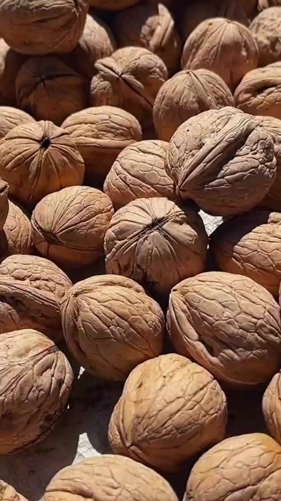 walnuts (6) Walnuts