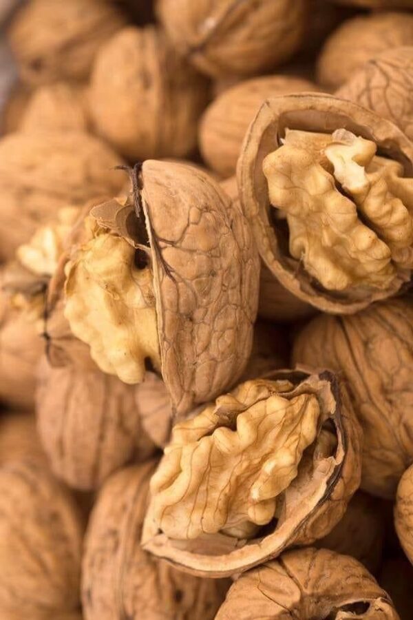 walnuts (7) Walnuts
